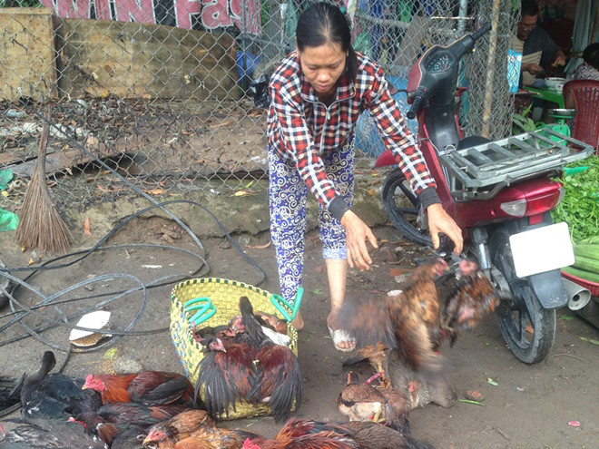 Các điểm buôn bán gia cầm sống trái phép tại Q.Bình Tân, TPHCM. Ảnh: Uyên Phương.