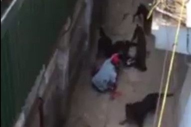 Ảnh cắt từ video. Nguồn: Facebook.