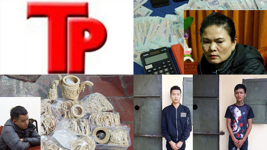 Bản tin Hình sự: Nữ sinh lớp 8 bị lôi vào phòng học hiếp dâm tập thể