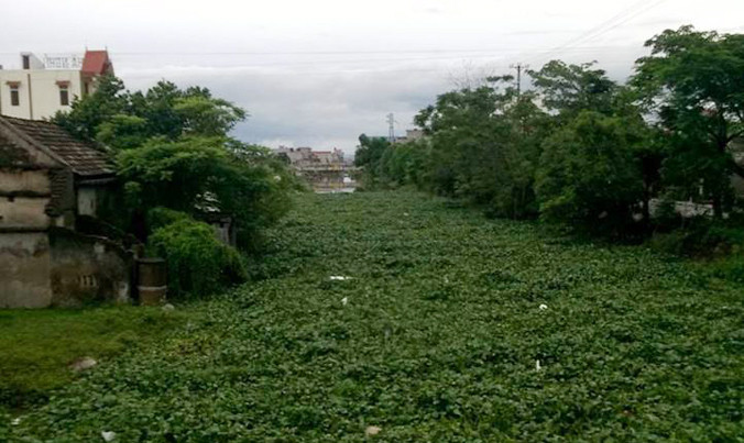 Đoạn sông Ân nơi phát hiện thi thể nam giới. Ảnh: P.T.