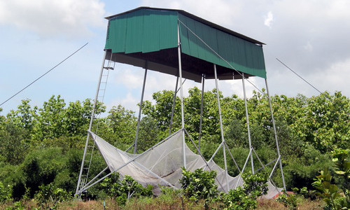 Chòi nuôi dơi của bác sĩ Hoài và ông Sáu phối hợp làm. Ảnh: Phước Tuấn.