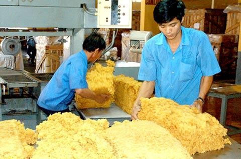 Ông Đoàn Nguyên Đức cho biết, chủ trương của HAGL ngay từ đầu là không sản xuất cao su cho Trung Quốc. Theo ông, xuất khẩu phụ thuộc một thị trường, chắc chắn sẽ chết.