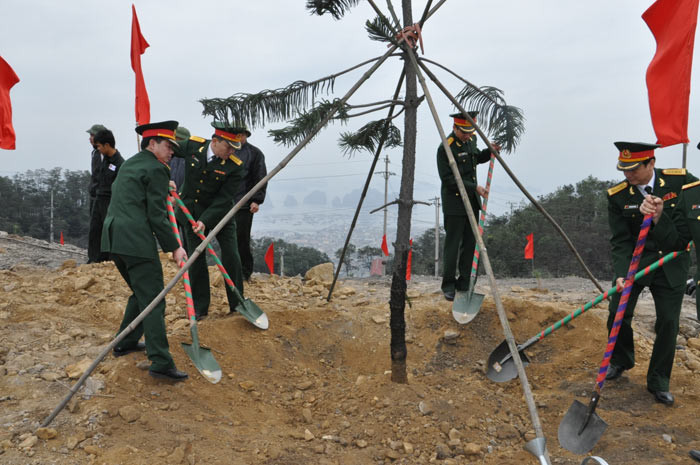 Trồng hàng ngàn cây xanh dịp Tết trồng cây 