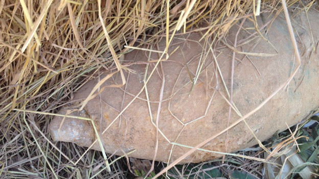 Đào đường phát hiện bom