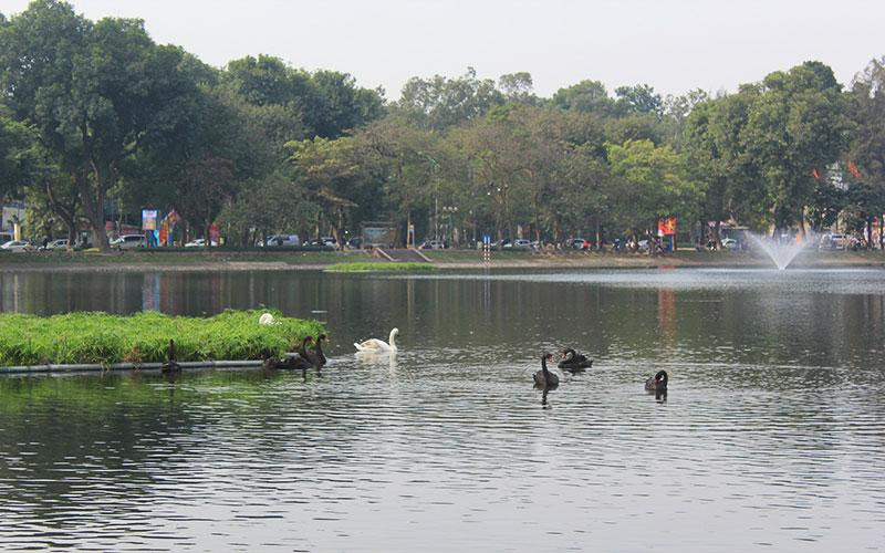 Hà Nội nói về chủ trương mở phố đi bộ khu Công viên Thống nhất và hồ Thiền Quang