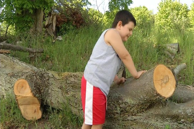 Cậu bé Quillan Groenwald. Ảnh: 9and10news