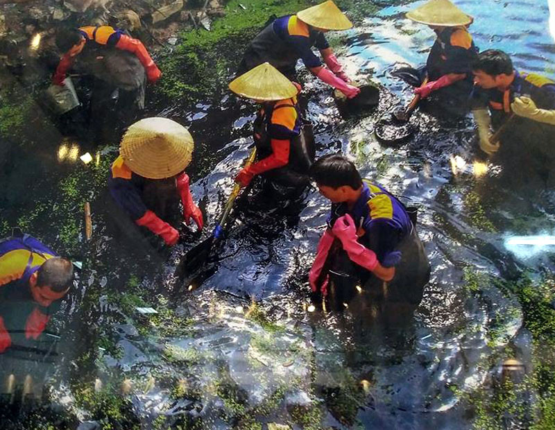 Trao giải, trưng bày ảnh cuộc thi 'Thủ đô Hà Nội xanh - sạch - đẹp 2016'