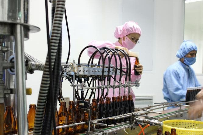 Kinh doanh dược liệu: Hướng đi đầy tiềm năng