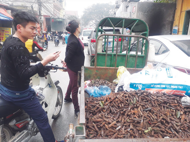 Những viên đạn được thu gom sau vụ nổ ở Bắc Ninh. Ảnh: Nguyễn Hoàn.