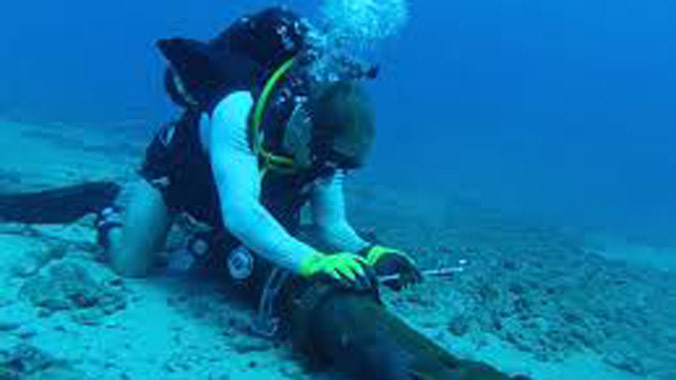 Chưa xác định được sự cố cáp quang AAG