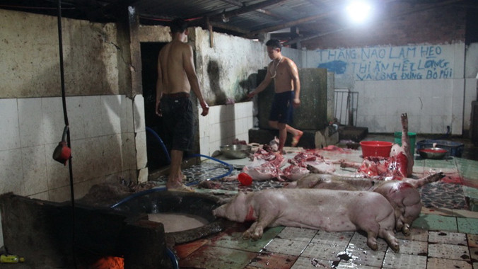 Heo thành phẩm bị bỏ dưới nền cáu bẩn lẫn phân và phế phẩm.