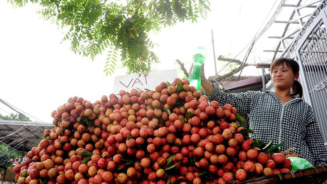Vải thiều giá rẻ tràn xuống đường phố Hà Nội