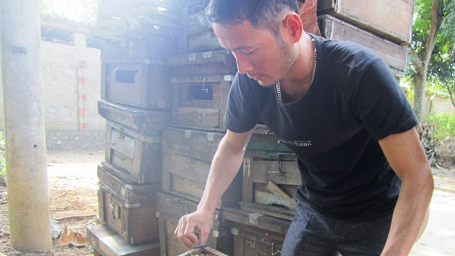 Anh Phong kiểm tra các tầng mật