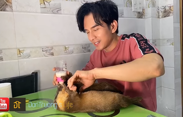 Đan Trường tận tay chăm sóc hai chú rái cá.