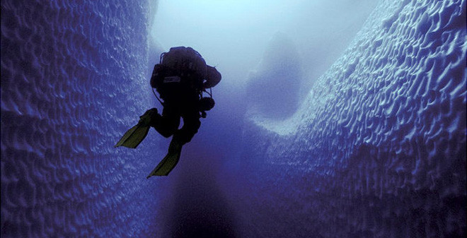 Châu Nam Cực là lục địa lạnh nhất với nhiệt độ tới -89 độ C.