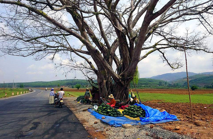 Đoạn đường xảy ra vụ án mạng trong đêm