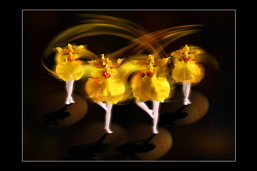 "Vũ Ba lê", ý tưởng từ những cánh lan Vũ Nữ- NSNA Nguyễn Hương Vượng