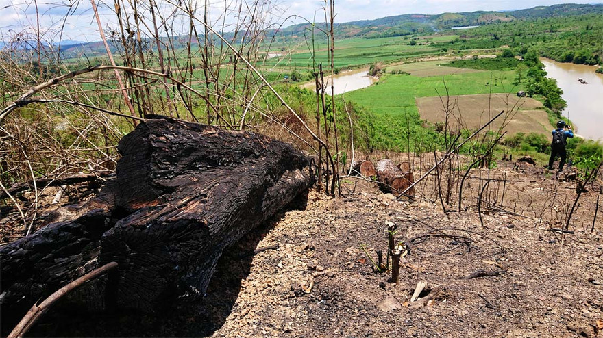 Một vạt rừng đặc dụng gần trạm kiểm lâm số 8 bị đốt phá để làm rẫy 