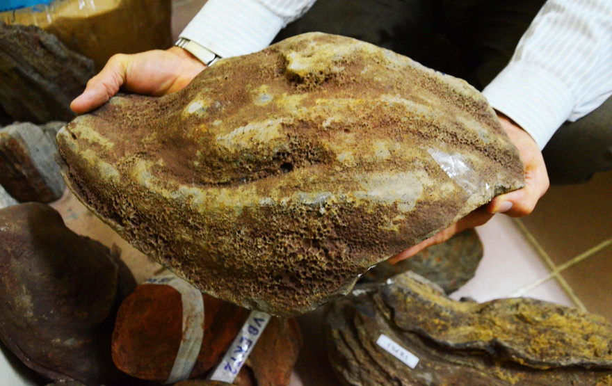 Một "bom núi lửa" có hình dạng như quả bàng khô