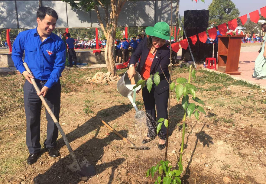 Trồng cây xanh sau lễ phát động