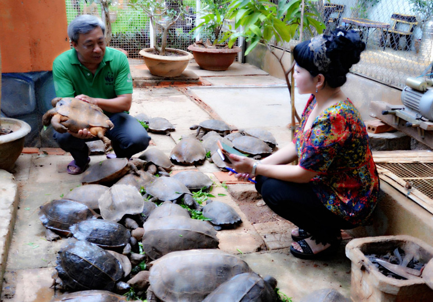 Ông Cường (trái) nuôi rùa đã 20 năm