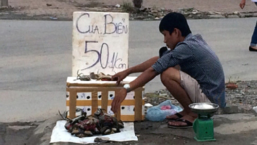 Cua biển giá bèo