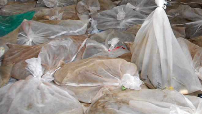 Gần nửa tạ rắn hổ mang suýt tuồn sang Trung Quốc