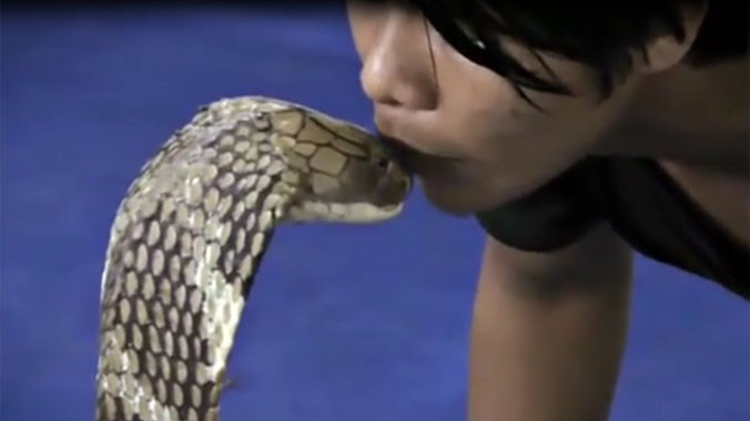 Bạt vía xem chàng trai hôn hổ mang chúa