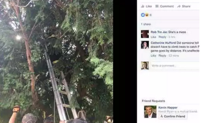 Lính cứu hoả phải dùng thang để giúp đỡ người phụ nữ trèo lên cây cao bắt Pokemon.