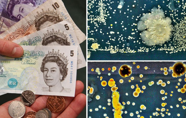 Cực sốc khi biết tiền polymer chúng ta vẫn dùng có thể BẨN đến như thế nào 