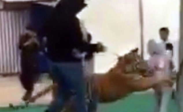 Bé gái bị hồ vồ tại khu chợ nhỏ ở Ả Rập Saudi. Ảnh cắt từ video