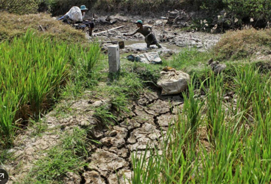 Tác động của El Nino đến Đồng bằng sông Cửu Long. Ảnh: Internet