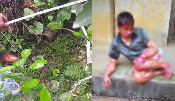 Hiện trường vụ việc và nạn nhân