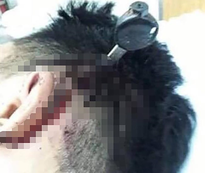 Hỗn chiến do mâu thuẫn trên facebook, 2 học sinh lớp 10 trọng thương