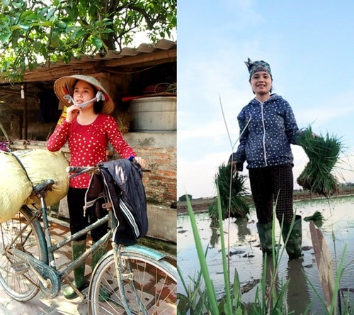 Cô giáo mầm non Lỗ Thị Thùy với việc đồng áng trong ngày hè.