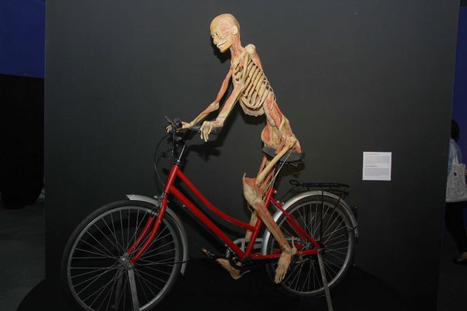 Sở VHTT TPHCM ra quyết định tạm dừng triển lãm