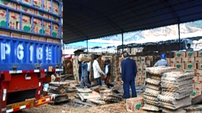 Dưa hấu xuất sang biên giới rồi vẫn bị loại và chê 