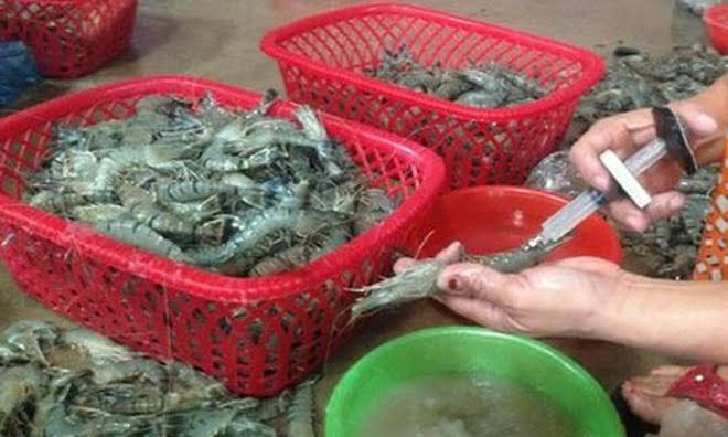 Bơm tạp chất vào tôm không chỉ gây mất an toàn thực phẩm, còn ảnh hưởng đến uy tín, thương hiệu tôm Việt Nam trên thị trường quốc tế.