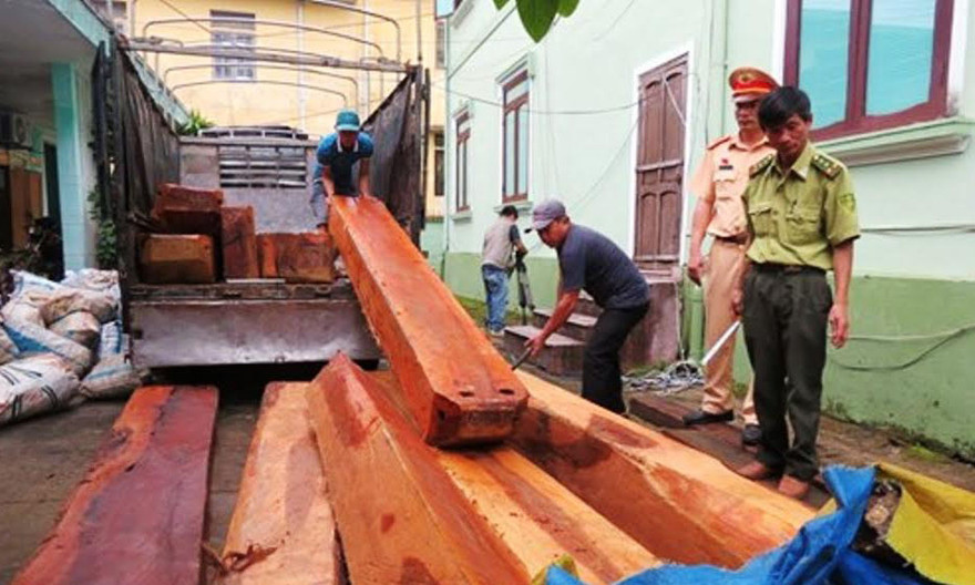 Kiểm tra, bàn giao toàn bộ lô gỗ lậu cho kiểm lâm xử lý theo quy định. 