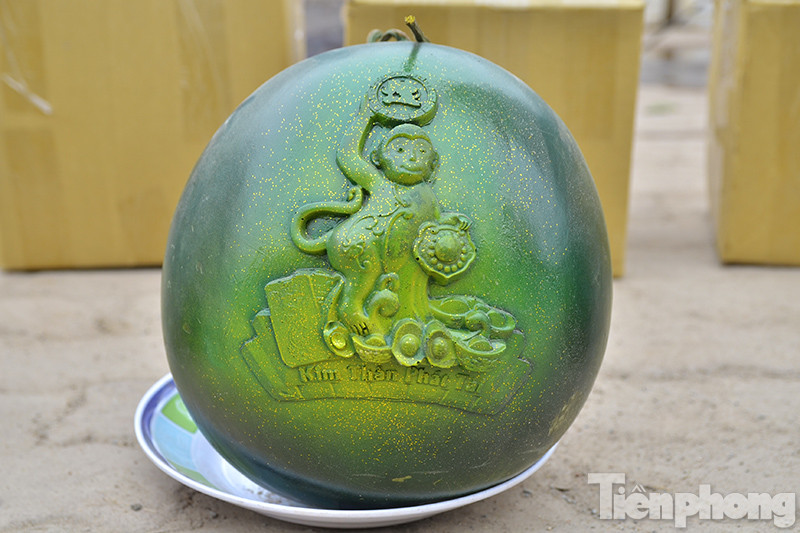 Dưa hấu in hình khỉ với giá lên đến gần 1 triệu đồng/cặp đang hút khách mua làm quà biếu hay làm đồ thờ Tết Nguyên đán Bính Thân.