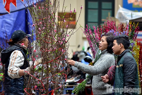 Thời tiết miền Bắc trời nắng, rét về đêm và sáng sớm.