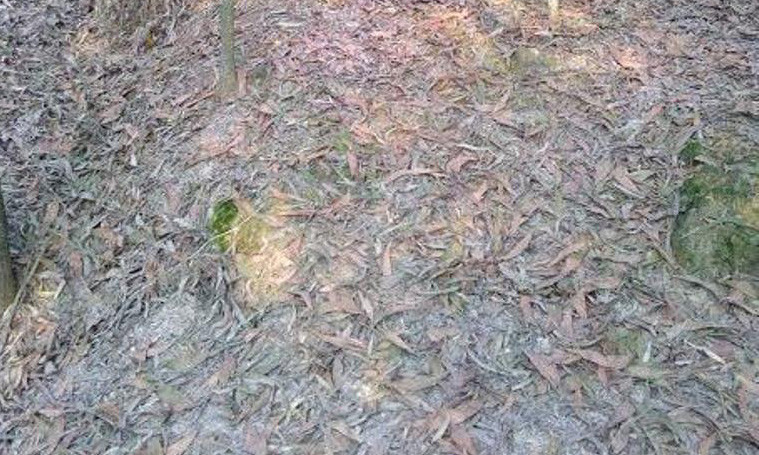 Hiện trường nam thanh niên tử vong.