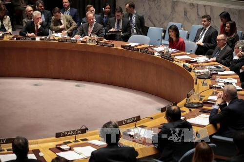 Một cuộc họp của HĐBA LHQ tại New York, Mỹ. Ảnh: AFP/TTXVN.