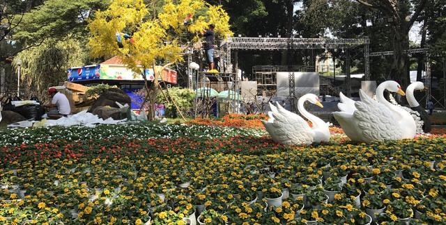 Những góc “sống cực ảo” tại vườn hoa Xuân Tao Đàn