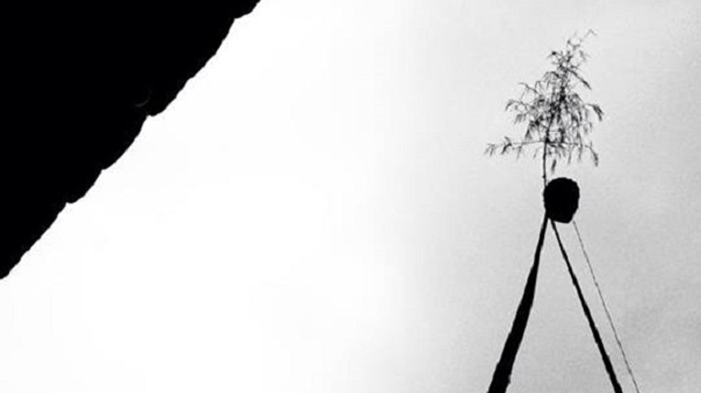 Cây nêu ngày Tết