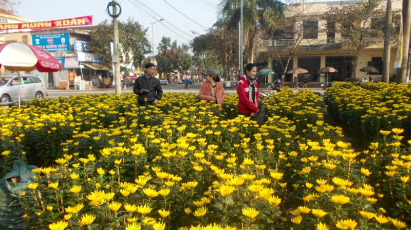 Đường phố mùa xuân