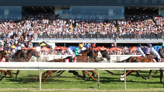 Chính phủ đồng ý cho Hà Nội xây trường đua ngựa có cá cược