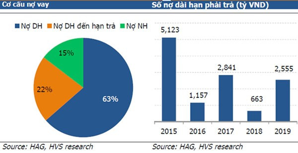 Biểu đồ cơ cấu nợ và số nợ dài hạn phải trả của HAG. Ảnh: DDDN.