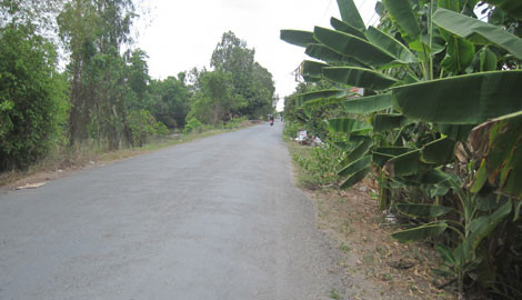 Đoạn đường nơi Trúc bị chích điện, khống chế đưa lên xe chở đi. Ảnh: CAND.