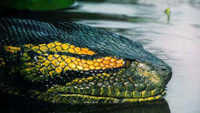 Ảnh minh họa: edgefx.com.